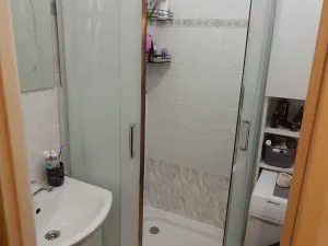 Prodej bytu 2+1, Karviná, Borovského, 58 m2