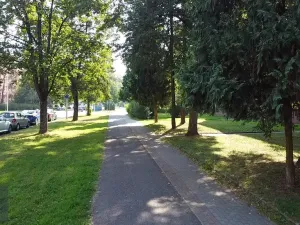 Prodej bytu 2+1, Karviná, Borovského, 58 m2