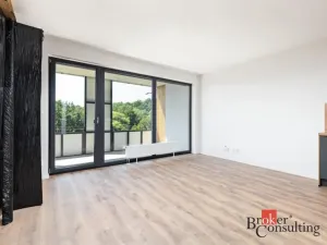 Pronájem bytu 1+kk, Plzeň - Východní Předměstí, Kartónová, 35 m2