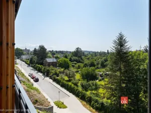 Pronájem bytu 1+kk, Plzeň - Východní Předměstí, Kartónová, 35 m2