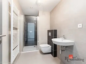 Pronájem bytu 1+kk, Plzeň - Východní Předměstí, Kartónová, 35 m2