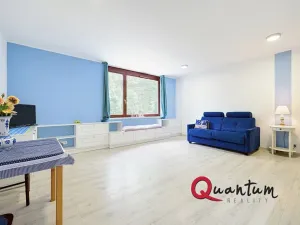 Prodej bytu 1+kk, Praha - Michle, U michelského mlýna, 40 m2