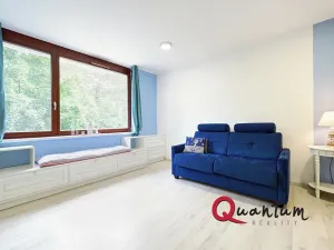 Prodej bytu 1+kk, Praha - Michle, U michelského mlýna, 40 m2