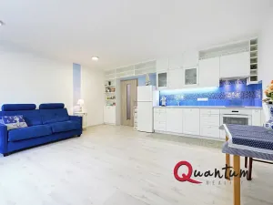 Prodej bytu 1+kk, Praha - Michle, U michelského mlýna, 40 m2