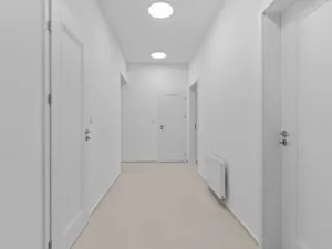 Pronájem bytu 3+kk, Praha - Nusle, Sezimova, 66 m2