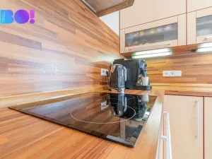 Prodej rodinného domu, Olšany u Prostějova, 175 m2