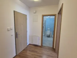 Pronájem bytu 2+kk, Praha - Karlín, Křižíkova, 54 m2