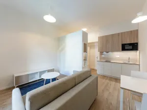 Pronájem bytu 1+kk, Praha - Holešovice, Milady Horákové, 30 m2