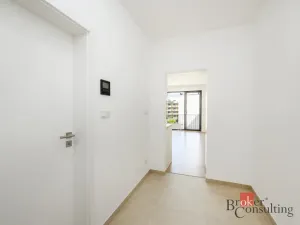 Pronájem bytu 1+kk, Plzeň - Jižní Předměstí, Železná, 31 m2