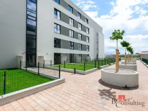 Pronájem bytu 1+kk, Plzeň - Jižní Předměstí, Železná, 31 m2