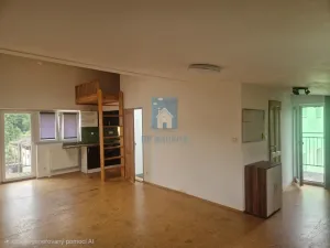 Pronájem bytu 1+kk, Praha, K cihelně, 55 m2
