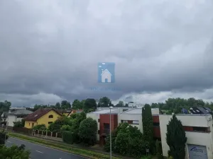 Pronájem bytu 1+kk, Praha, K cihelně, 55 m2