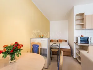 Pronájem bytu 1+kk, Praha - Hlubočepy, Werichova, 28 m2