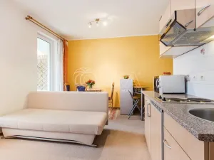 Pronájem bytu 1+kk, Praha - Hlubočepy, Werichova, 28 m2