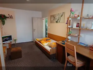 Prodej bytu 3+1, České Budějovice, Skuherského, 81 m2