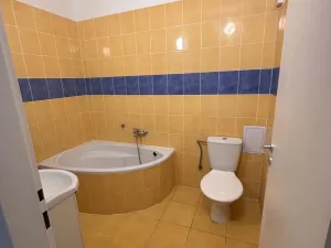 Pronájem bytu 2+kk, Ostrava, Erbenova, 63 m2