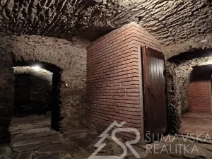Prodej obchodního prostoru, Kašperské Hory, Náměstí, 161 m2