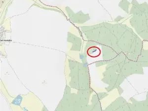 Prodej lesa, Útěchovičky, 360 m2