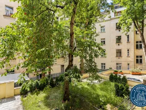 Pronájem bytu 2+kk, Praha - Vinohrady, Máchova, 32 m2