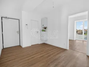 Prodej bytu 3+kk, Brno - Židenice, Bubeníčkova, 90 m2