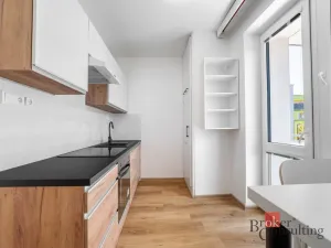 Pronájem bytu 1+1, Brno - Staré Brno, Veletržní, 38 m2