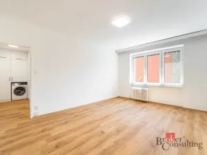 Pronájem bytu 1+1, Brno - Staré Brno, Veletržní, 38 m2