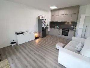 Pronájem bytu 1+kk, Zbiroh, Majerové, 40 m2