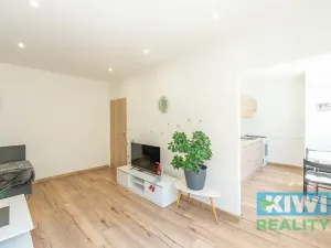 Pronájem bytu 1+1, Havířov, Dlouhá třída, 36 m2