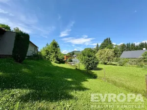 Prodej pozemku pro bydlení, Červená Voda, 1016 m2
