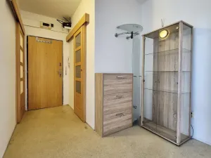 Pronájem bytu 2+1, České Budějovice, Sokolská, 66 m2