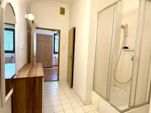 Prodej rodinného domu, Ostrava - Hrabůvka, Edisonova, 248 m2