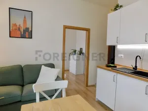 Pronájem bytu 2+kk, Plzeň, Hřímalého, 33 m2