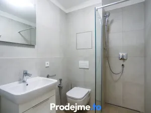 Pronájem bytu 1+kk, Brno - Černovice, Mírová, 32 m2