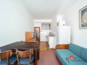 Pronájem bytu 1+1, Brno - Veveří, Burešova, 56 m2