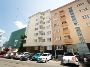 Pronájem bytu 1+1, Brno - Veveří, Burešova, 56 m2