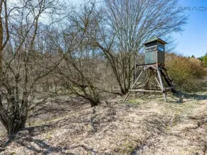 Prodej komerčního pozemku, Zbraslavice - Rápošov, 13515 m2