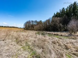 Prodej komerčního pozemku, Zbraslavice - Rápošov, 13515 m2
