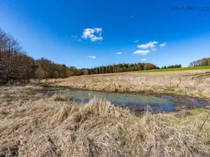 Prodej komerčního pozemku, Zbraslavice - Rápošov, 13515 m2