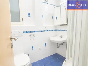 Prodej bytu 1+1, Praha, Jaselská, 55 m2