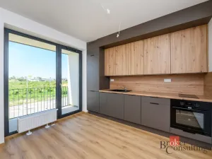 Pronájem bytu 1+kk, Plzeň - Jižní Předměstí, Železná, 29 m2