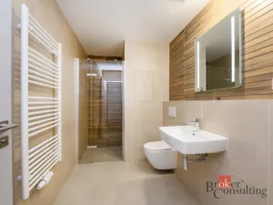 Pronájem bytu 1+kk, Plzeň - Jižní Předměstí, Železná, 29 m2