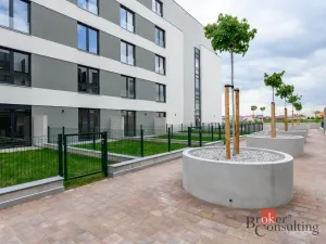 Pronájem bytu 1+kk, Plzeň - Jižní Předměstí, Železná, 29 m2