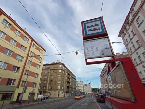 Pronájem bytu 2+kk, Praha - Žižkov, Jeseniova, 71 m2