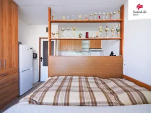 Pronájem bytu 1+1, Žďár nad Sázavou, Makovského, 42 m2