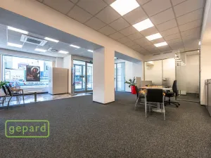 Pronájem obchodního prostoru, Praha - Holešovice, Dělnická, 252 m2