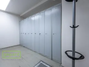 Pronájem obchodního prostoru, Praha - Holešovice, Dělnická, 252 m2