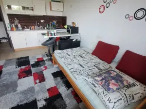 Pronájem bytu 1+kk, Olomouc, Novosadský dvůr, 31 m2