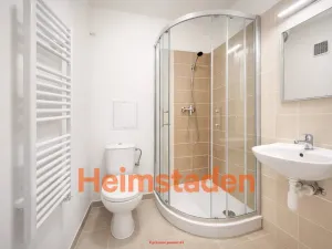 Pronájem bytu 1+1, Ostrava - Poruba, Dělnická, 28 m2