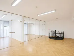 Pronájem kanceláře, Praha - Nové Město, Václavské náměstí, 465 m2