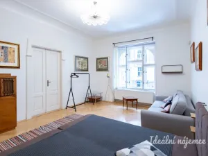 Pronájem bytu 5+kk, Praha - Nové Město, Gorazdova, 110 m2